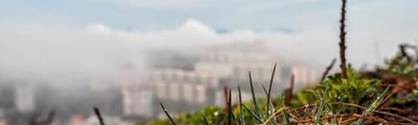 Какой погодой завершится июль, с чего начнётся август: подробный прогноз на Примпогоде