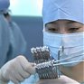 В Японии начали делать прививки от свиного гриппа