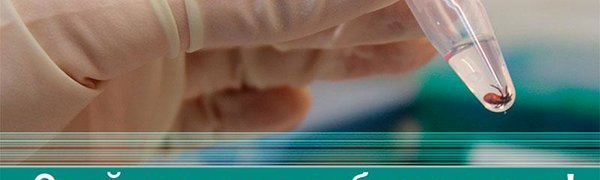 Как защитить себя при укусе клеща?