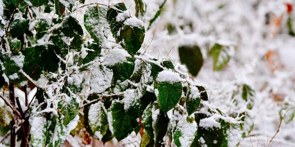 На Приморье обрушился южный циклон (ФОТО; ВИДЕО)