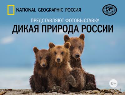 Во Владивостоке пройдет фотовыставка журнала National Geographic