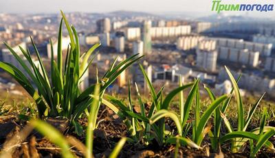 Синоптики рассказали о погоде в Приморье и Владивостоке на первых майских выходных