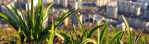 Синоптики рассказали о погоде в Приморье и Владивостоке на первых майских выходных