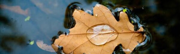 Дождь и похолодание ожидаются в среду в Приморье