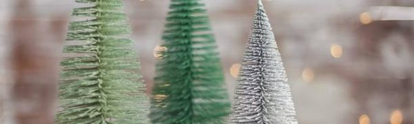 Монтаж зимнего городка завершается на Спортивной набережной во Владивостоке