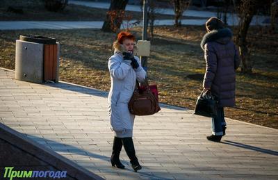 Во Владивостоке сохраняется ясная и умеренно морозная погода