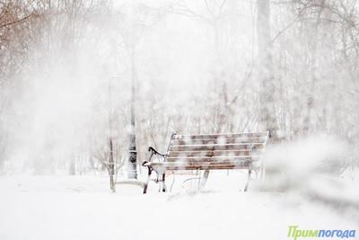 Погода на выходные: после праздничного снегопада в Приморье похолодает