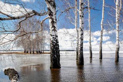 Из-за снежной зимы Приморье может затопить