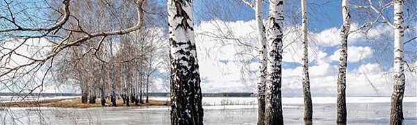 Из-за снежной зимы Приморье может затопить