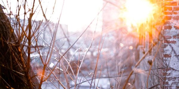 Оттепели охватят большую часть Приморья на следующей неделе