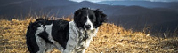 Сильный северный ветер мешает приморцам насладиться солнечной погодой