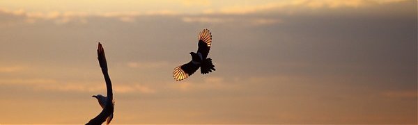 Чем дышал Владивосток с 12 по 20 мая?