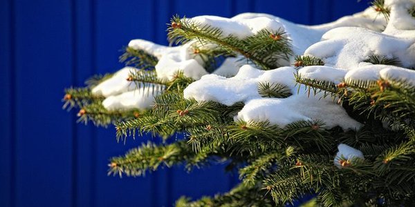 Короткая оттепель в Приморье быстро сменилась морозной погодой