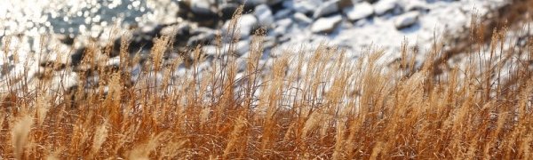 К середине недели в Приморье значительно потеплеет