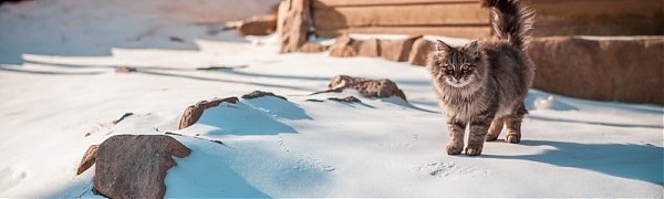 Декабрь в Приморье ожидается морозным, с большим количеством осадков