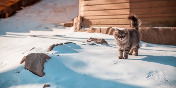 Декабрь в Приморье ожидается морозным, с большим количеством осадков