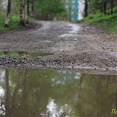 Динамика дождя: мокрые улицы
