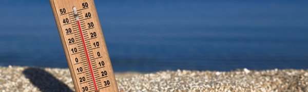 Август 2014 года стал самым жарким за всю историю метеонаблюдений