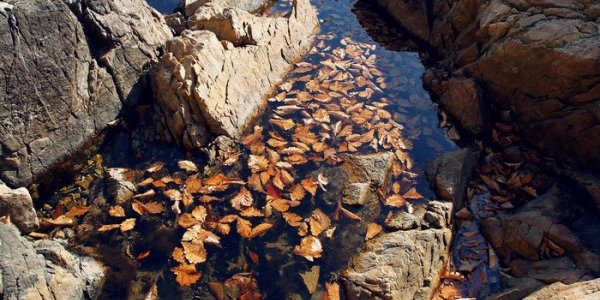 Череду погожих осенних дней в Приморье прервет дождь