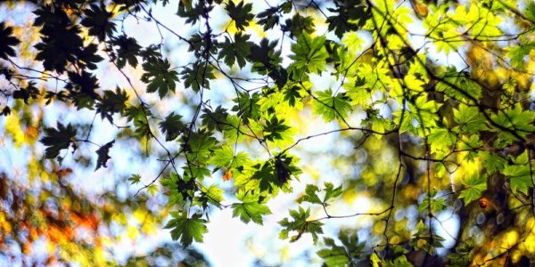 Пасмурная осень? Только не в Приморье — доказывает вторая декада сентября