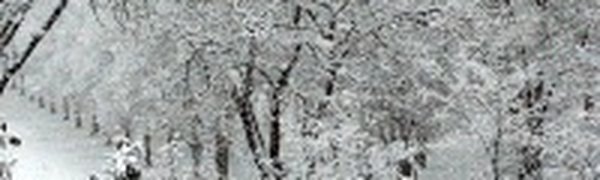 Польша пострадала от майского снегопада