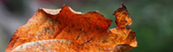 Сегодня погода в Приморье существенно не изменится