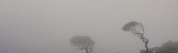 Жарко и прохладно. Всё о погоде в Приморье на выходных