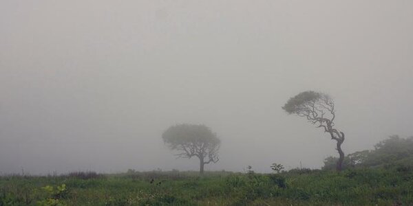 Жарко и прохладно. Всё о погоде в Приморье на выходных