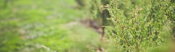 От жары до тумана с моросью: всё о погоде в Приморье на рабочей неделе