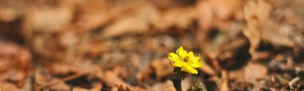 День 30 марта стал самым теплым в Приморье с начала весны (ФОТО)