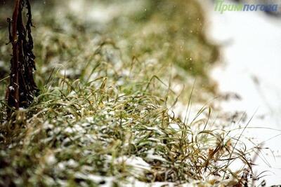 Дождь со снегом и похолодание ожидаются в Приморье