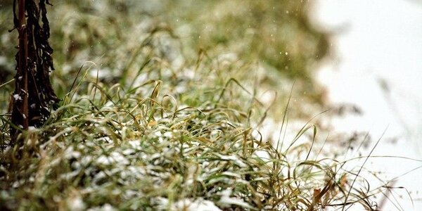 Дождь со снегом и похолодание ожидаются в Приморье