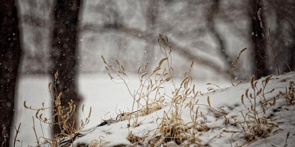Дождь и снег: в выходные во Владивостоке выпало 6 мм осадков