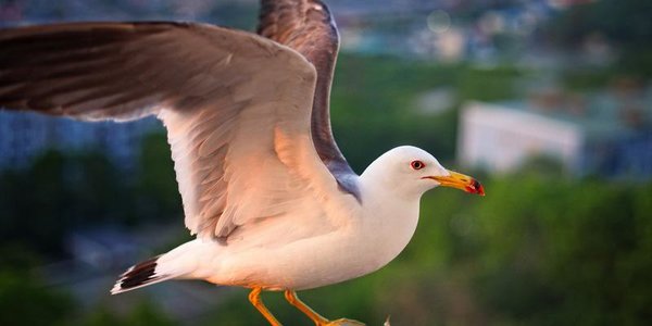 В пятницу характер погоды в Приморье не изменится
