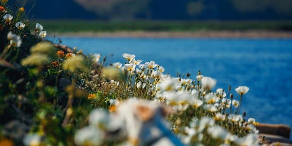 На выходных в Приморье ожидается хорошая погода