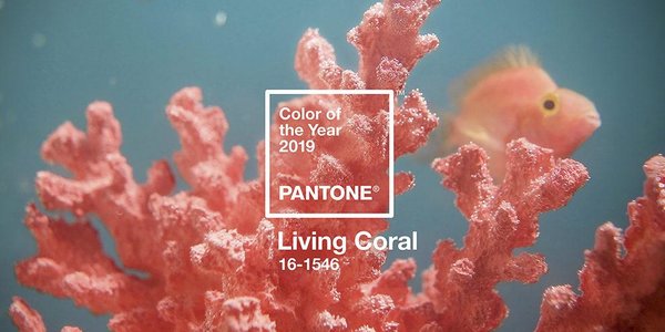 Коралловый назван главным цветом 2019 года