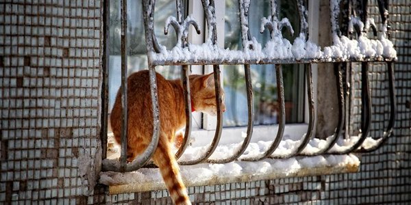 В Приморье продолжается понижение ночных температур