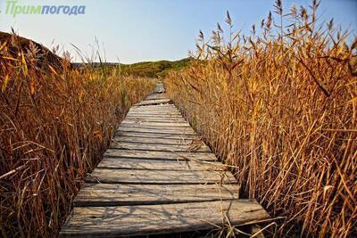 На выходных аномалия температуры местами в Приморье достигала более 9 градусов