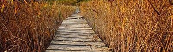 На выходных аномалия температуры местами в Приморье достигала более 9 градусов