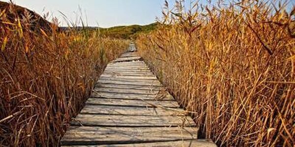 На выходных аномалия температуры местами в Приморье достигала более 9 градусов