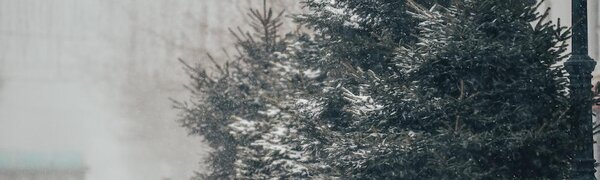 «Любимые» даты ноябрьских снегопадов во Владивостоке