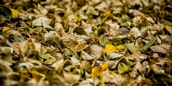 Погода в Приморье наладится во вторник