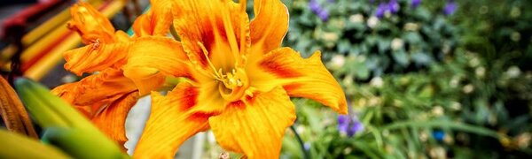 В последние выходные октября среднесуточная температура в Приморье превысила норму на 6 градусов