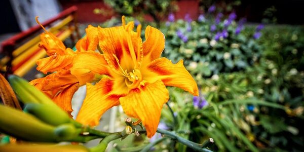 В последние выходные октября среднесуточная температура в Приморье превысила норму на 6 градусов