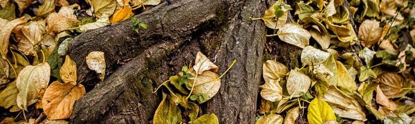 Синоптики дали подробный прогноз погоды на первую неделю ноября в Приморье