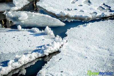 Процесс разрушения льда в бухтах Приморья начался раньше обычного