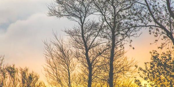 Специалисты проверили уровень загрязнения воздуха во Владивостоке