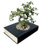Посади цветок в книгу: Новые дизайнерские эко-решения (ФОТО)