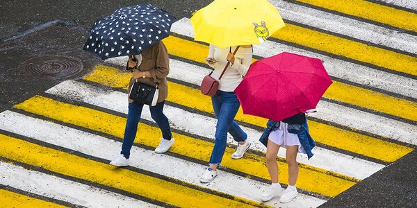 Предприятиям Владивостока сегодня рекомендовано сократить рабочий день