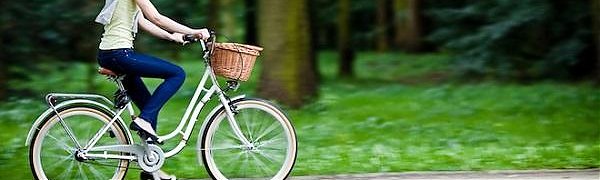 Вокруг крупных городов будут создаваться «зелёные щиты»